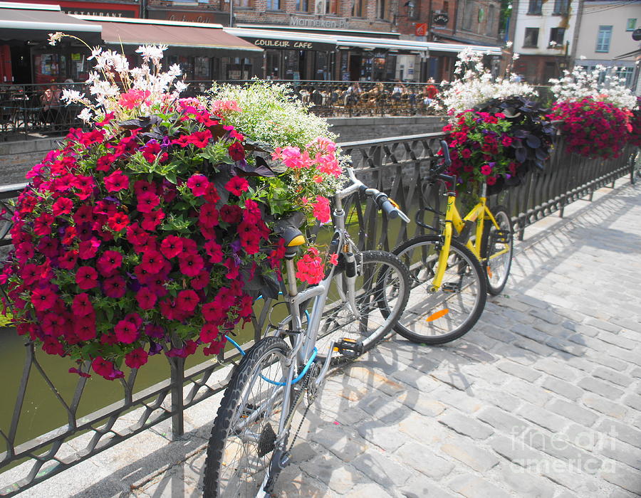 Bike and Flowers Photograph by Therese Alcorn