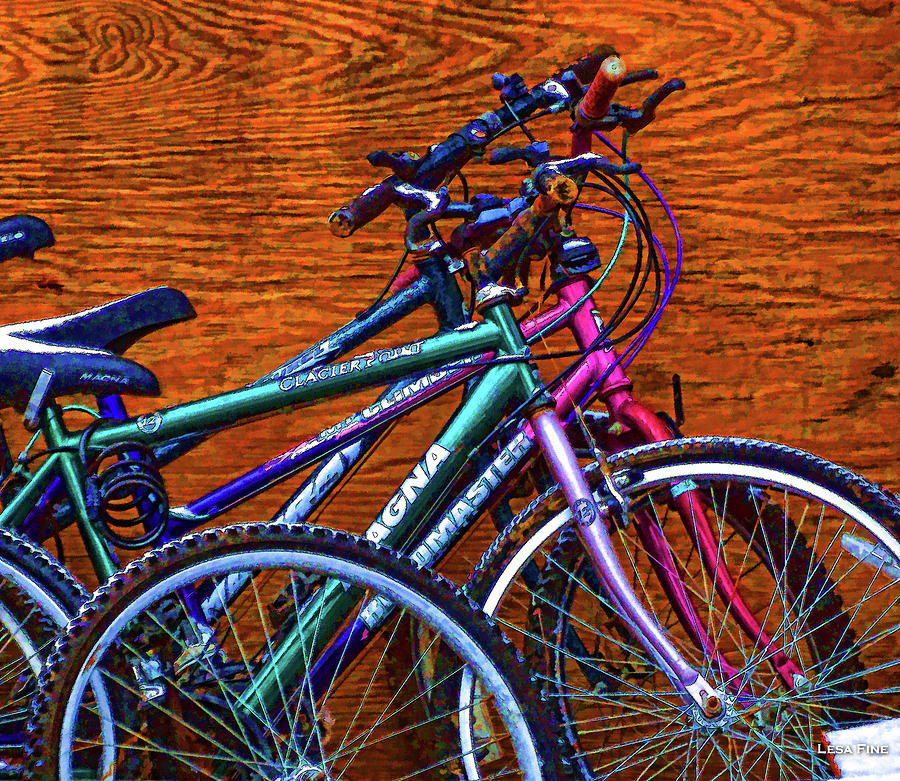 Bike Art Pop Photograph by Lesa Fine
