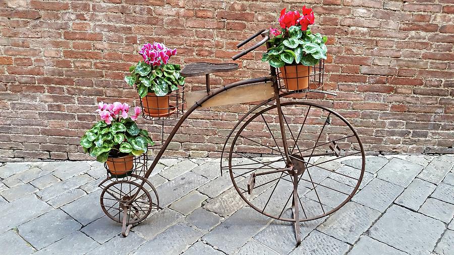 Bike Art - Siena, Italy Digital Art by Joseph Hendrix