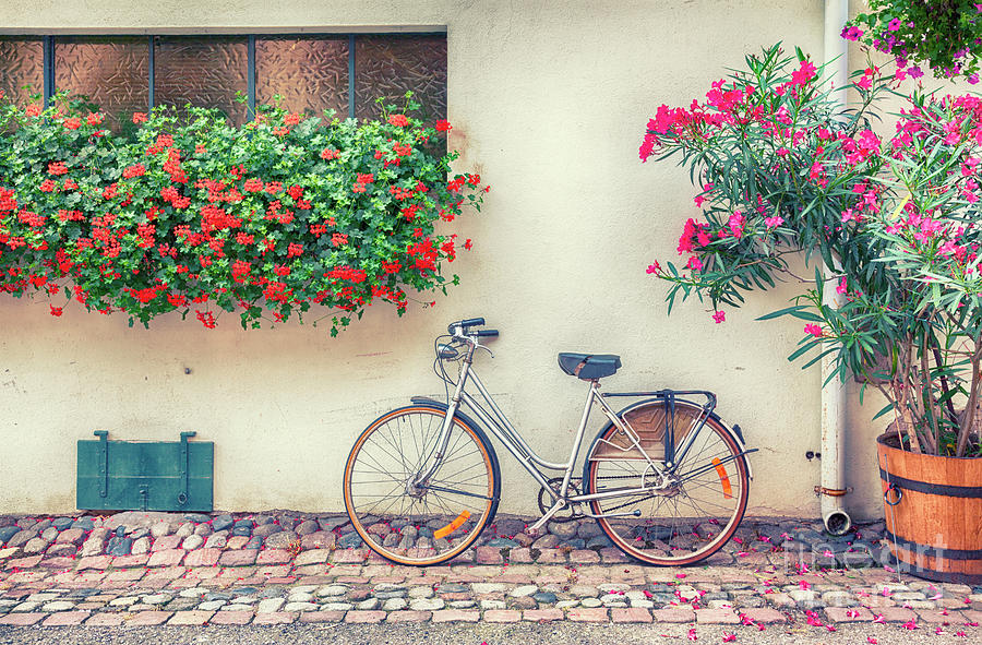 bike in France village  Photograph by Ariadna De Raadt