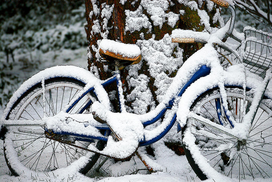 Bike In The Snow Photograph by Craig Perry-Ollila