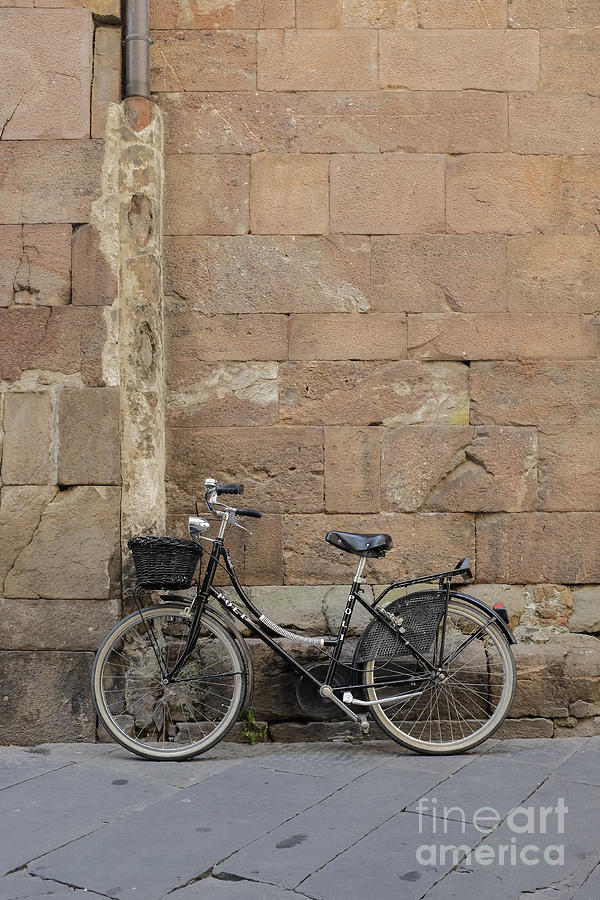 Bicycle Photograph - Bike Lucca Italy by Edward Fielding