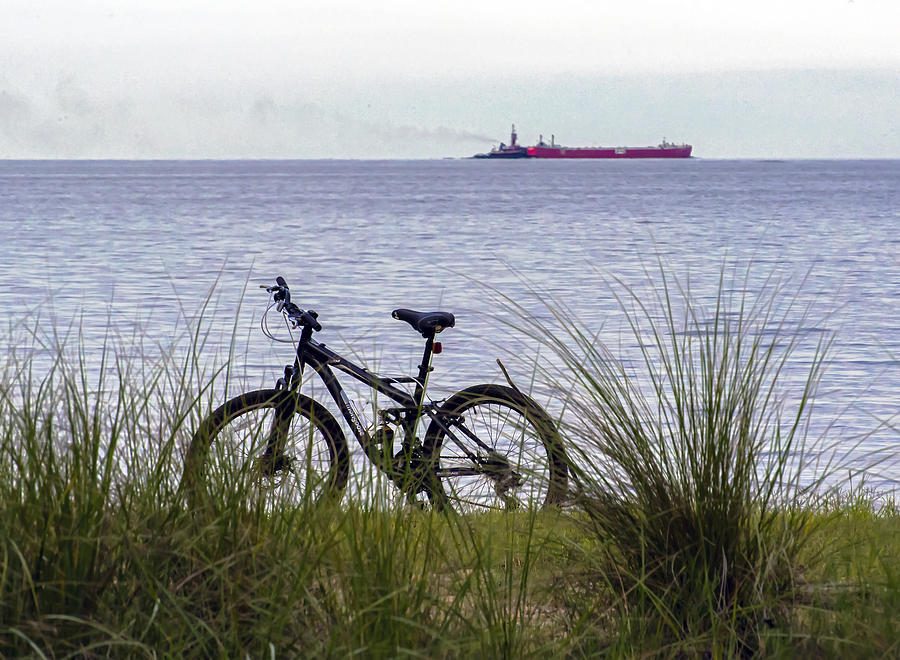 Bike On The Bay Photograph by Brian Wallace