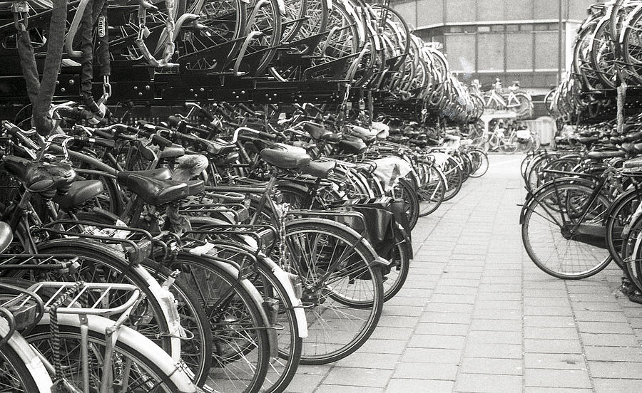 Bike parking lot, Netherlands Photograph by David Ortega Baglietto ...