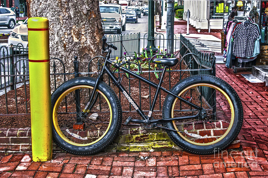 Bike Parking Photograph by Sandy Moulder