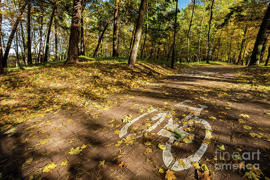 Bike road sign in a park on autumn Photograph by Michal Bednarek