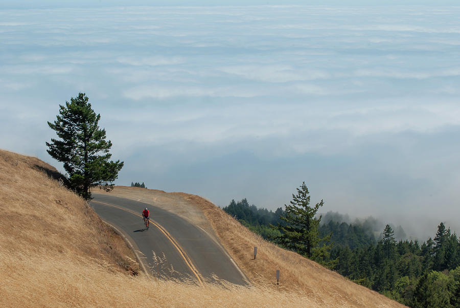 mount tamalpais mountain biking