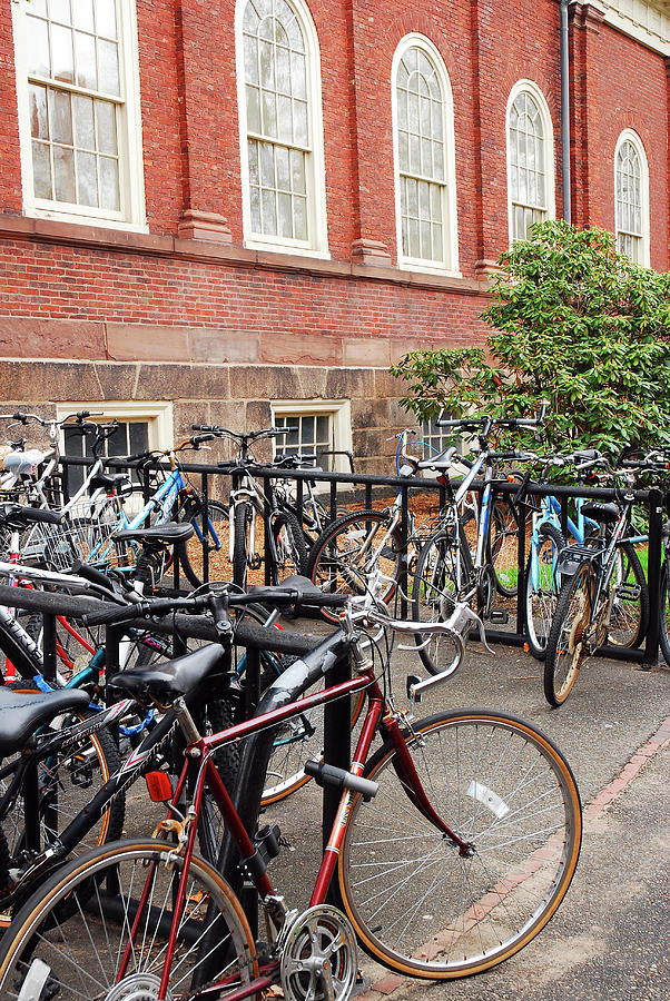 Bikes at Harvard Photograph by James Kirkikis