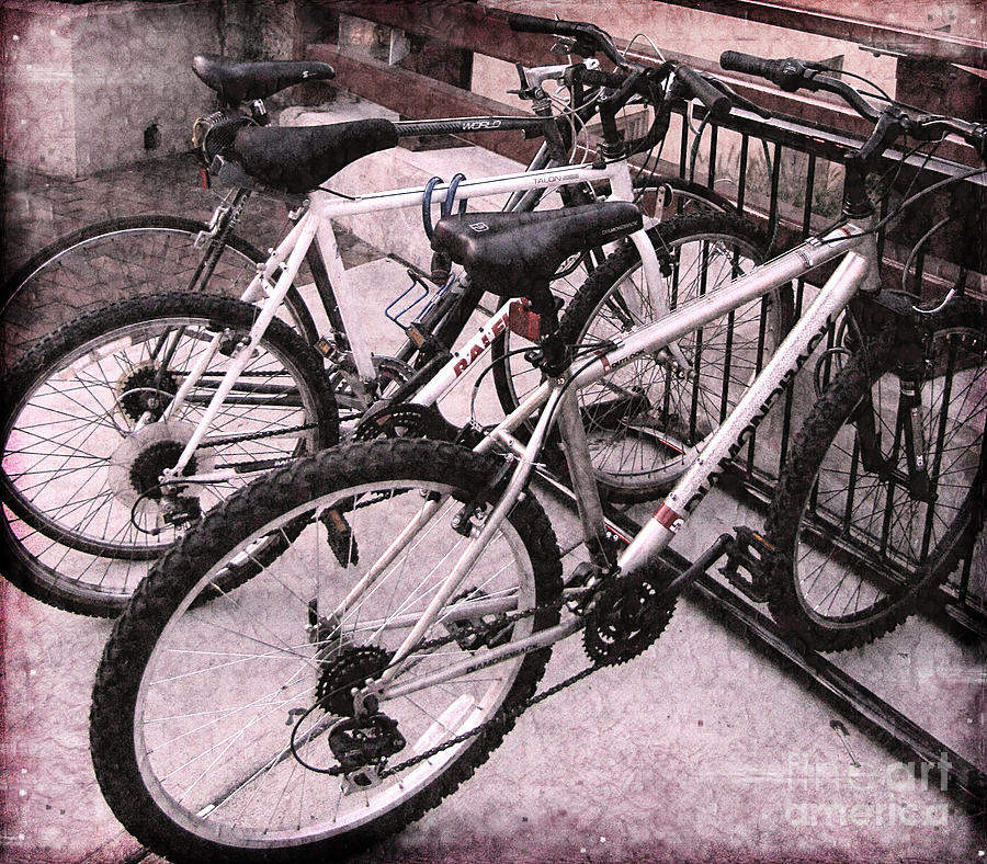 Bikes Photograph by Colleen Kammerer