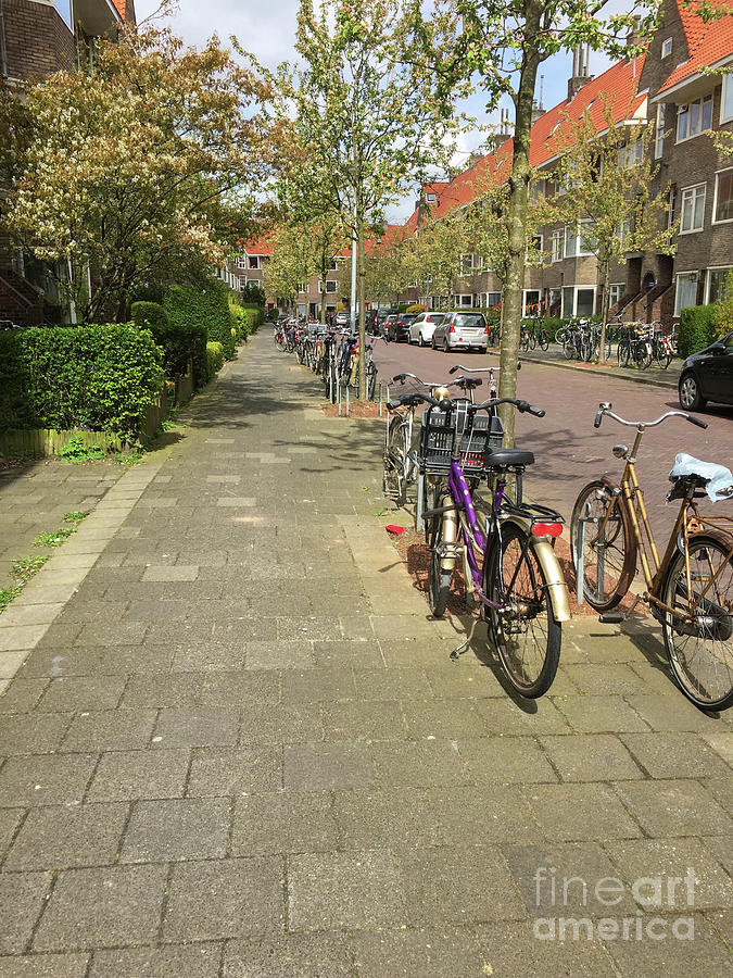 Architecture Photograph - Bikes in a street in Holland by Patricia Hofmeester
