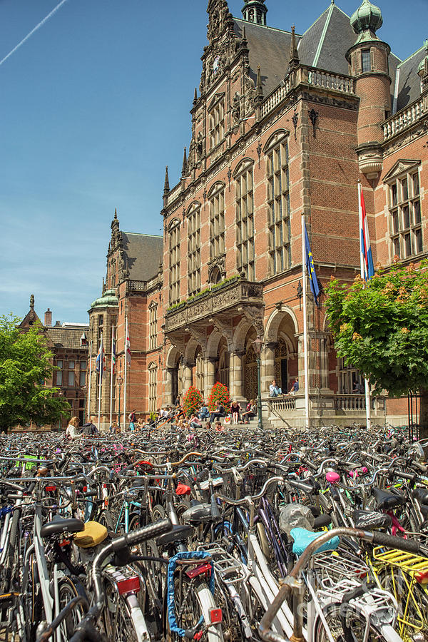 Bikes in front of Dutch university Photograph by Patricia Hofmeester
