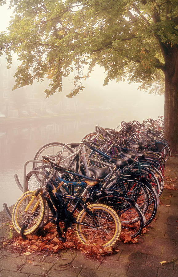 Bicycle Photograph - Bikes on a Foggy Morning by Joan Carroll