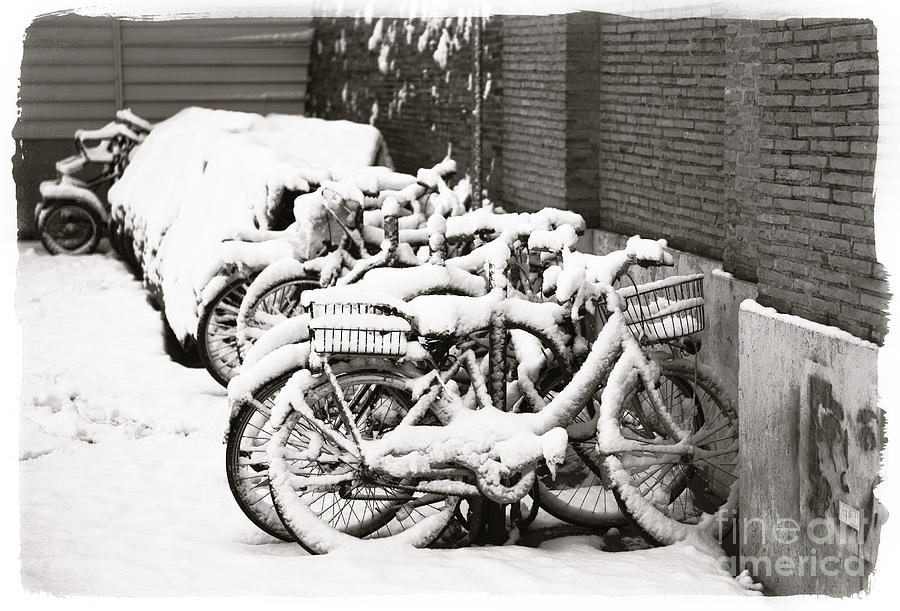 Bikes parked and full of snow Photograph by Stefano Senise