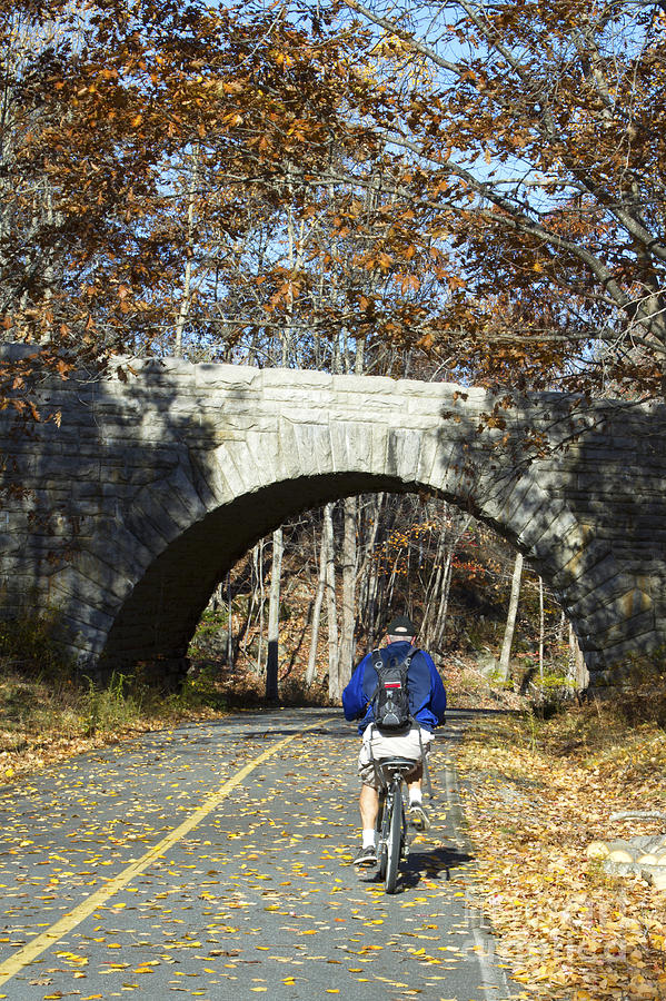 acadia mountain biking