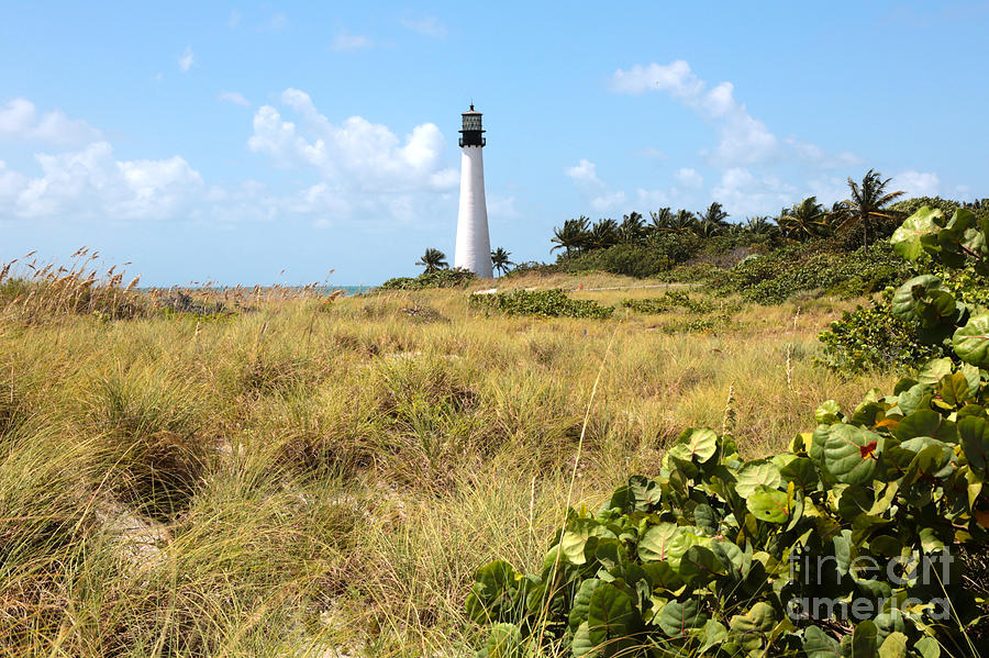 Bill Baggs Lighthouse with Dunes Photograph by Carol Groenen
