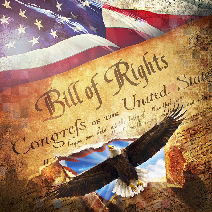 Bill of RIghts Digital Art by Evie Cook