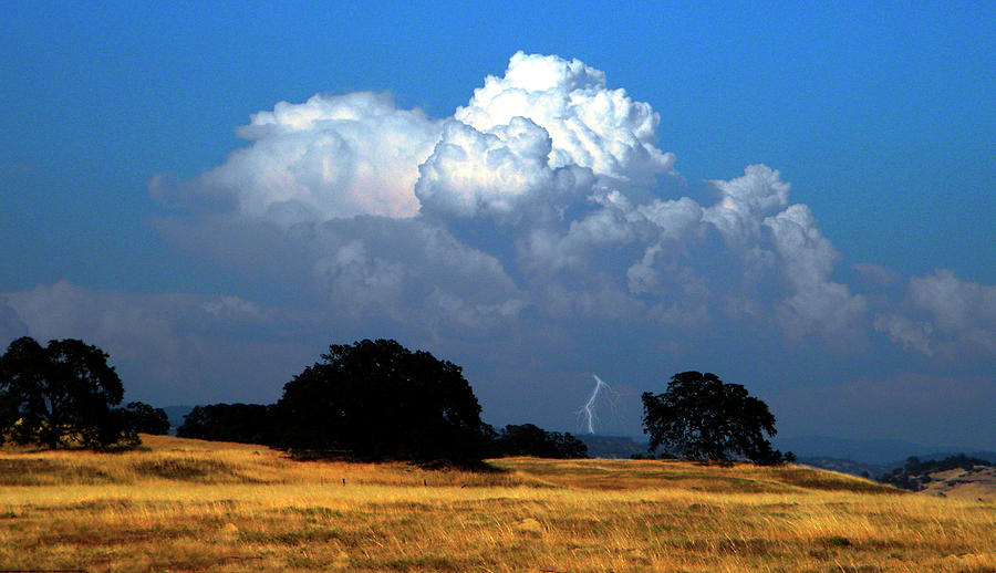 Billowing Thunderhead Photograph by Frank Wilson