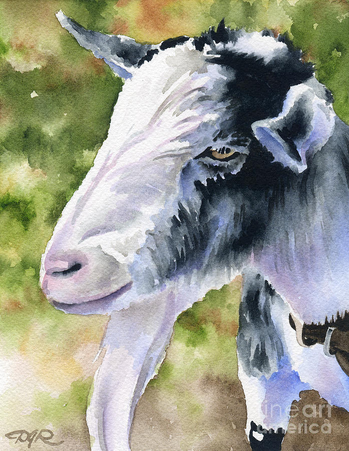 Goat Painting - Billy Goat by David Rogers
