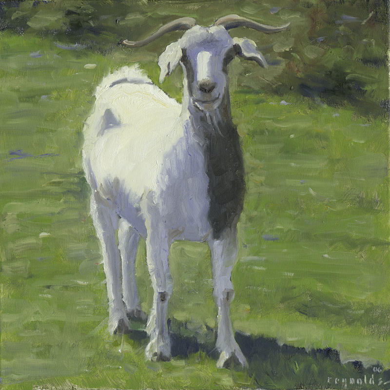 Billy Goat Painting by John Reynolds