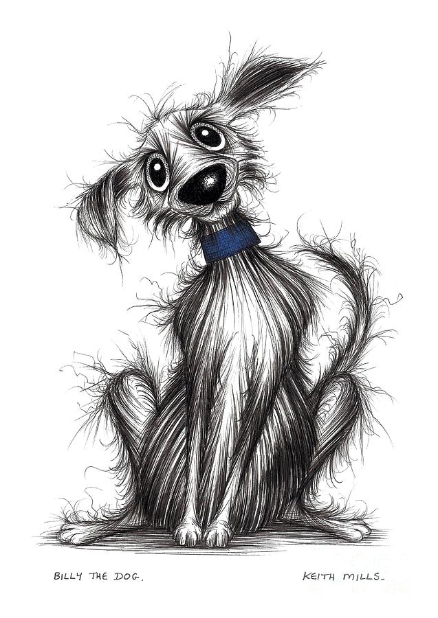 Billy the dog Drawing by Keith Mills