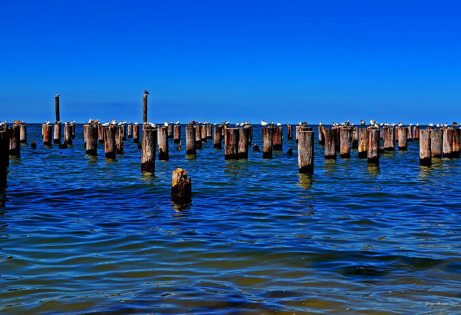 Biloxi Dock Posts 002 Photograph by George Bostian