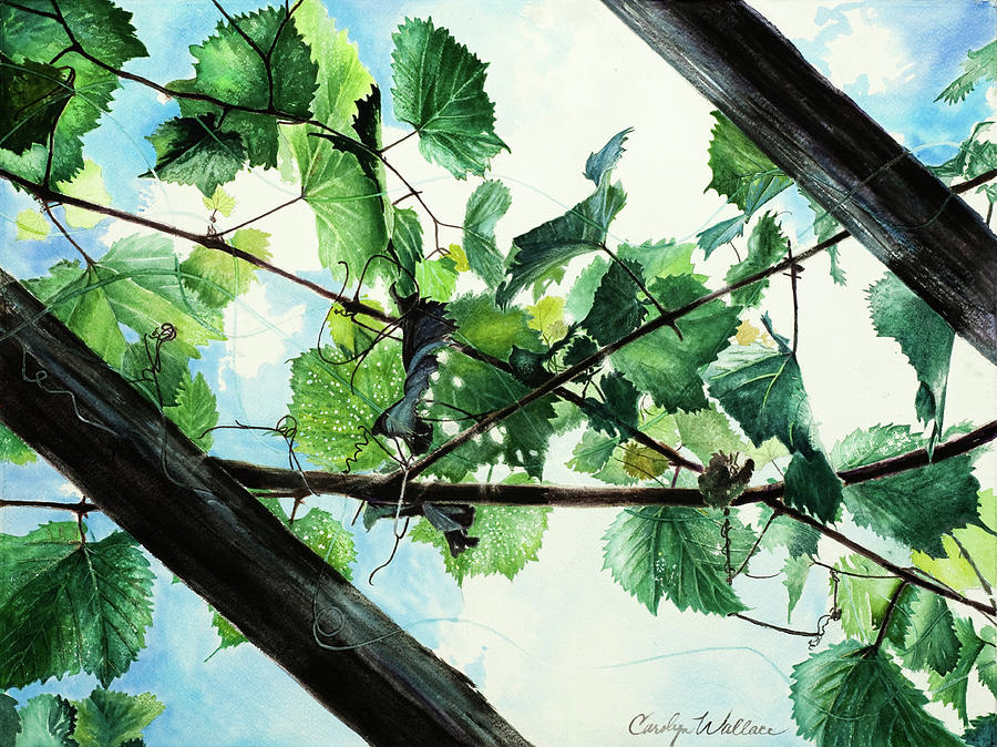 Biltmore Grapevines Overhead Painting by Carolyn Coffey Wallace
