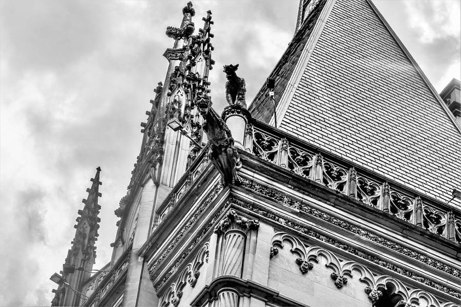 Black And White Photograph - Biltmore House Roof by Mary Ann Artz