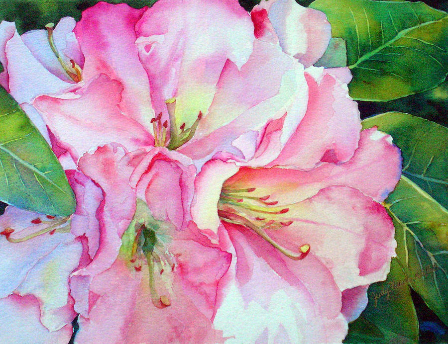 Rhododendron Painting - Biltmore Rhodies by Judy Mercer