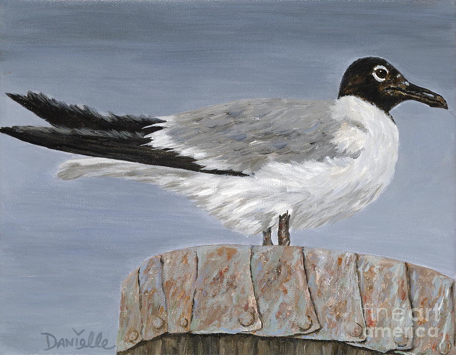 Seagull Painting - Bimini Gull by Danielle Perry Seagull Painting - Bimini Gull by Danielle Perry