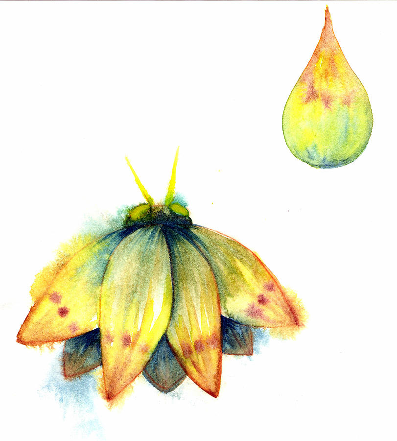 Bindu Moth Painting by Ashley Kujan