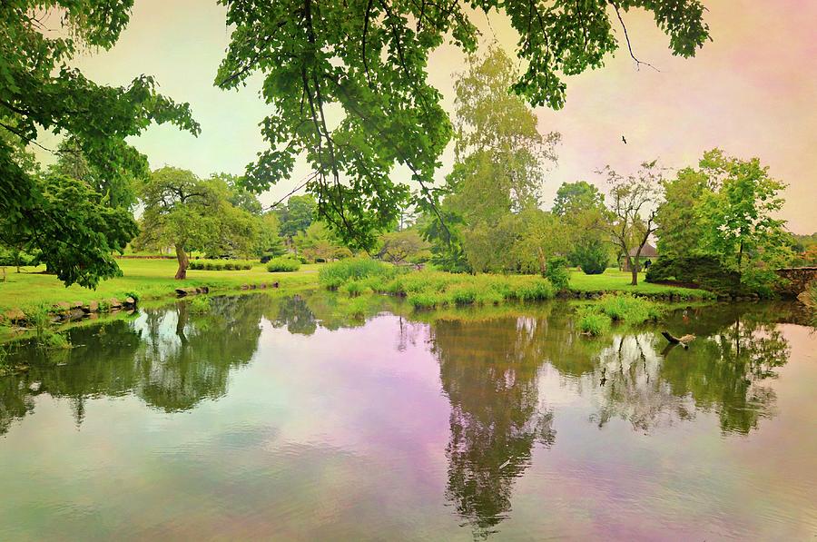 Binney Pond Park Photograph by Diana Angstadt