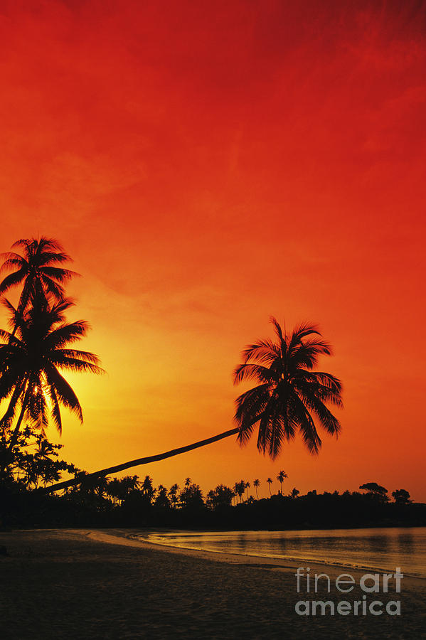Sunset Photograph - Bintan Island Sunset by Gloria & Richard Maschmeyer - Printscapes