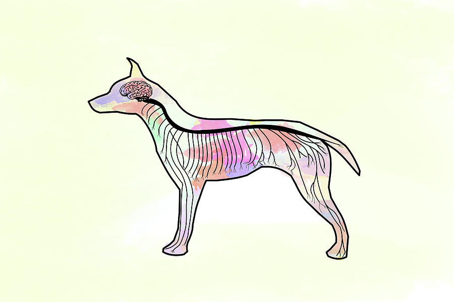 Bio Pop Doggy Digital Art by Keshava Shukla