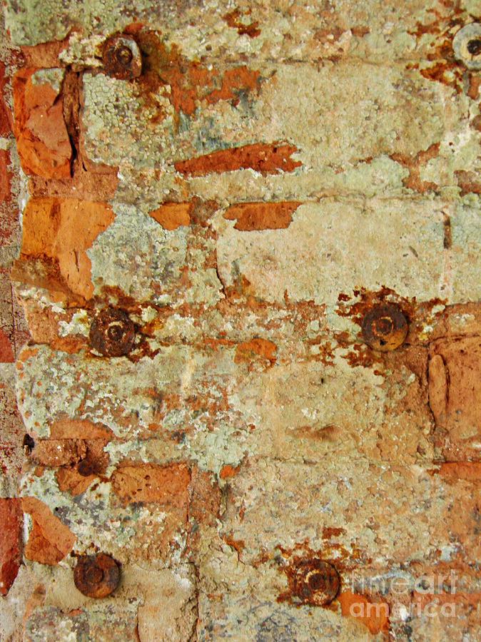 Brick Photograph - Biography of a Wall 19 by Sarah Loft