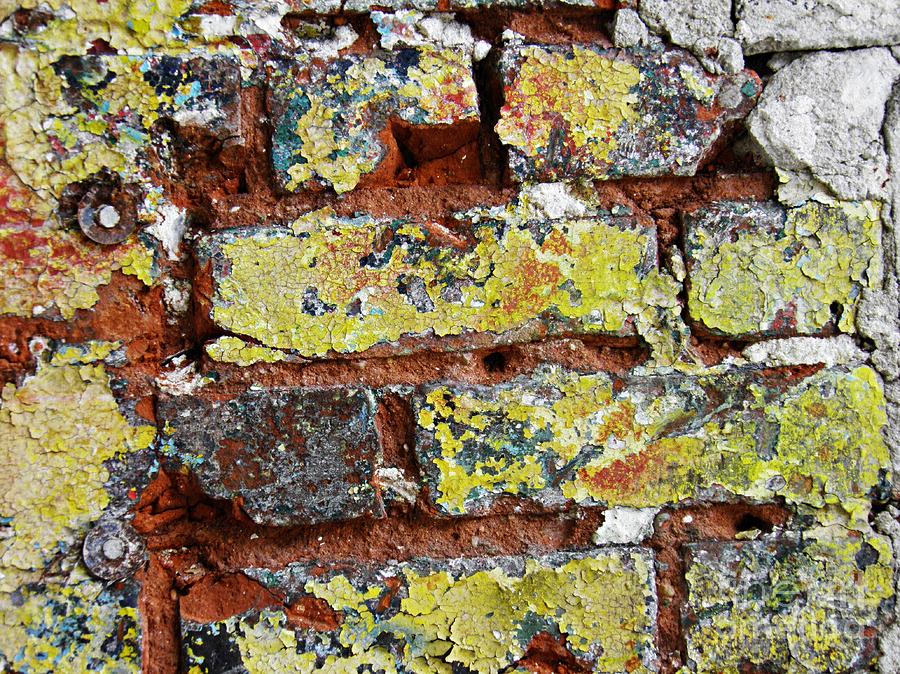 Brick Photograph - Biography of a Wall 7 by Sarah Loft