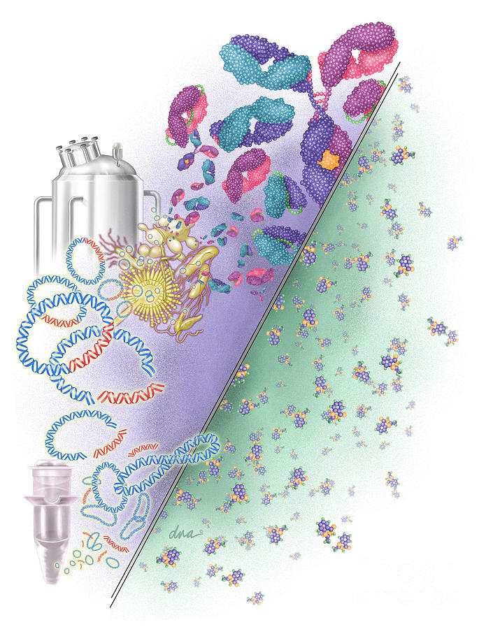 Biologic Drugs Vs. Small Molecule Drugs Photograph by DNA Illustrations