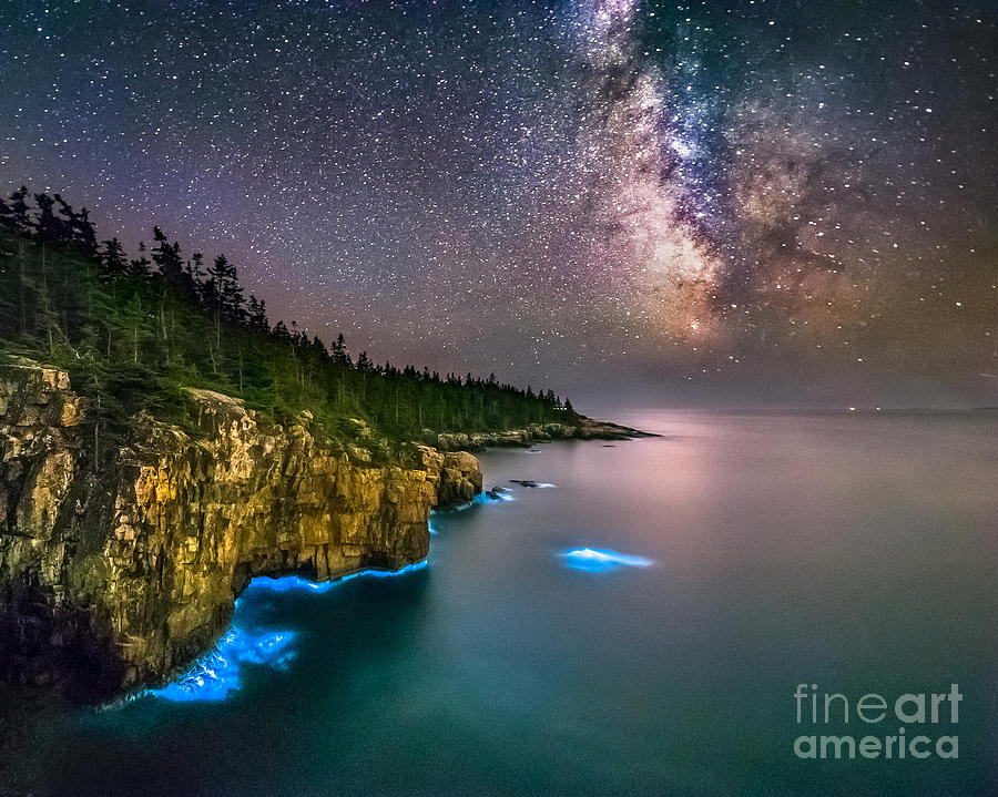 Acadia National Park Photograph - Bioluminescense by Benjamin Williamson