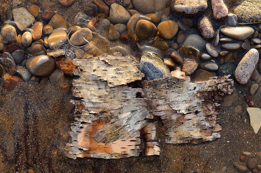 Birch Bark And Ice In The Creek Three  Digital Art by Lyle Crump
