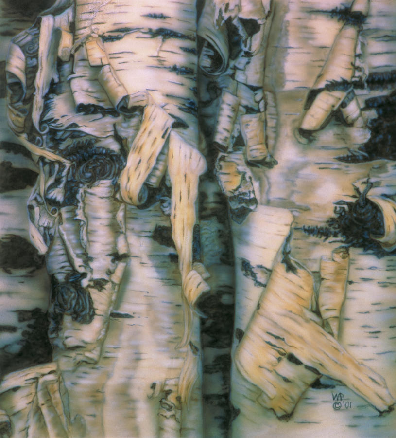 Birch Bark Painting by Wayne Pruse
