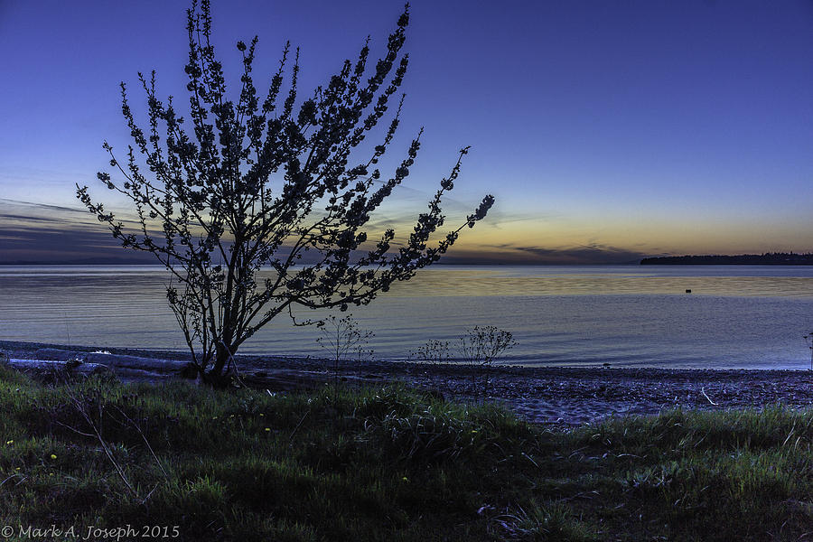 Birch Bay Twilight Photograph by Mark Joseph