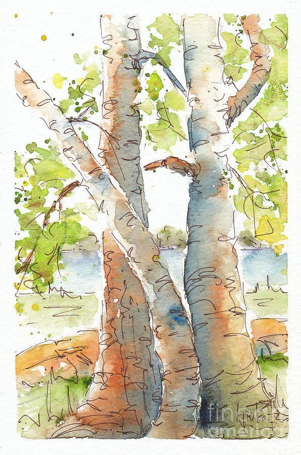 Birch Buddies Painting by Pat Katz
