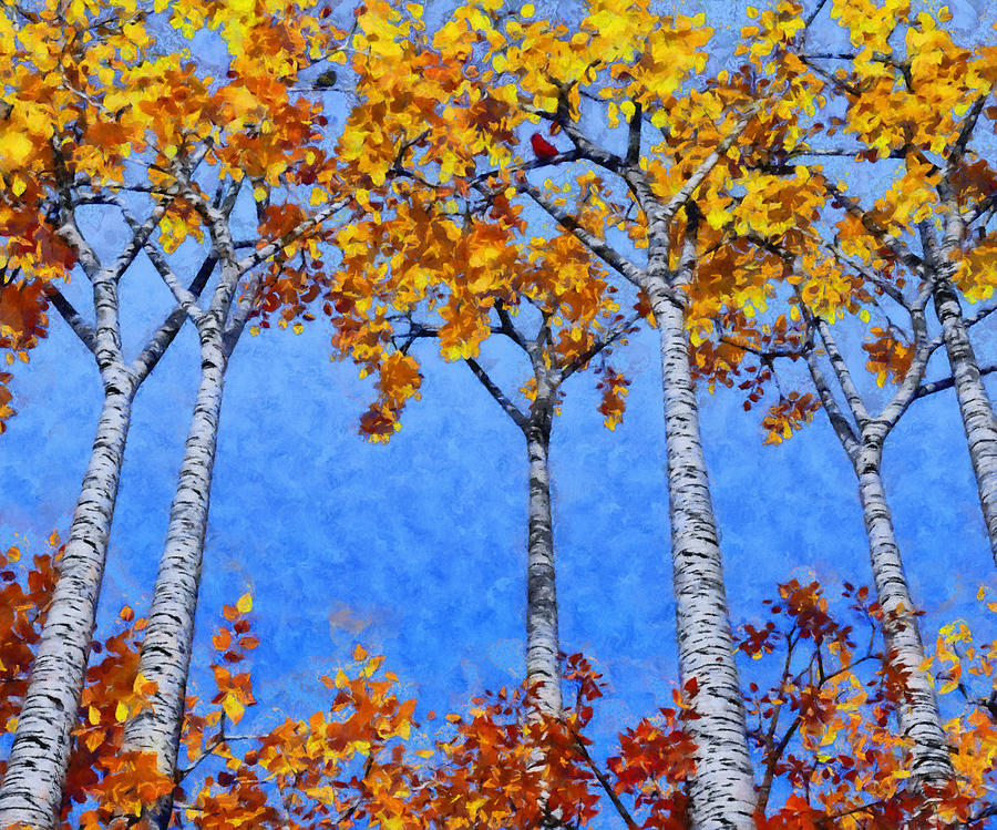 Birch Grove Painted Digital Art by Cynthia Decker