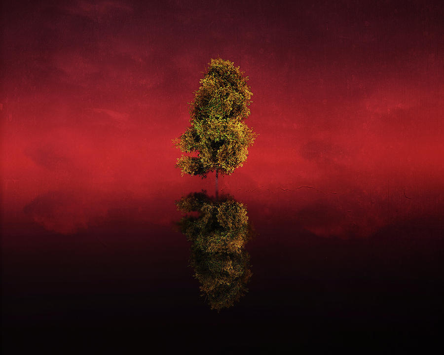 Birch in a red landscape Digital Art by Jan Keteleer
