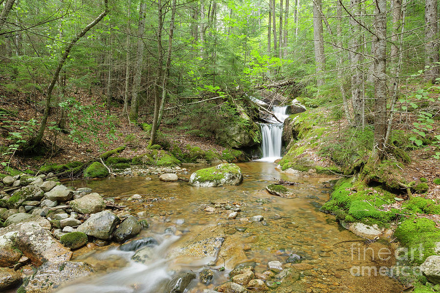 Nature Photograph - Birch Island Brook - Lincoln, New Hampshire  by Erin Paul Donovan
