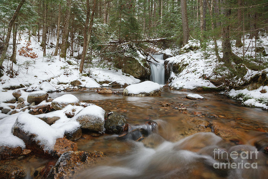 Nature Photograph - Birch Island Brook - White Mountains, New Hampshire  by Erin Paul Donovan