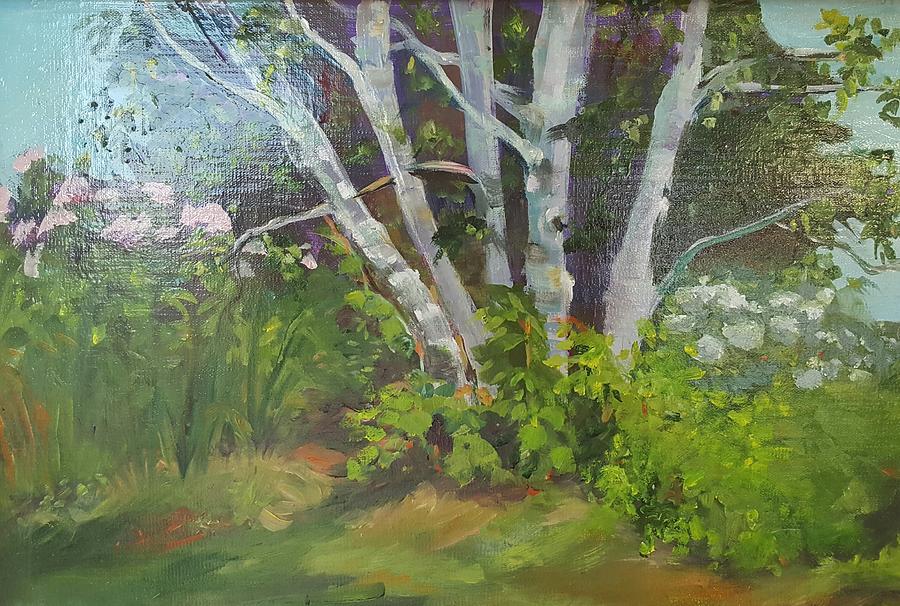 Birch on Chapman's Point by Cheryl LaBahn Simeone Birch on Chapman's Point by Cheryl LaBahn Simeone