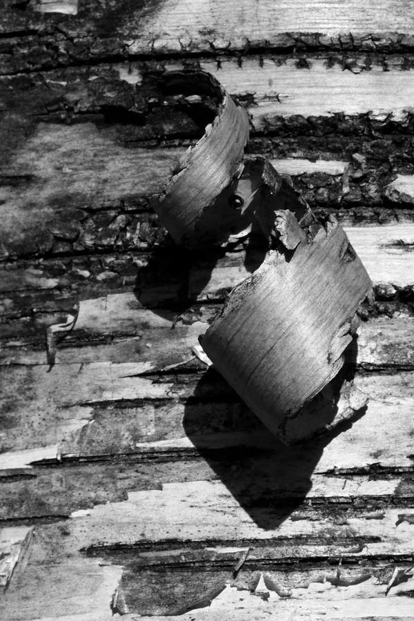 Birch Textures 53 BW Photograph by Mary Bedy