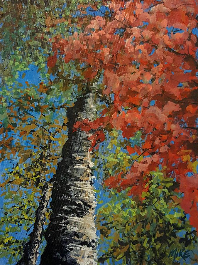 Birch Tree - Ministers Island Painting by Michael Graham
