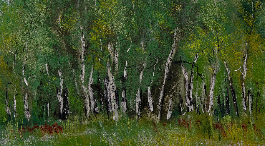 Birch Tree Panorama Pastel by David Patterson