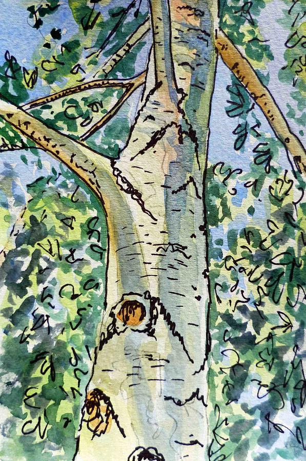 Birch Painting - Birch Tree Sketchbook Project Down My Street by Irina Sztukowski
